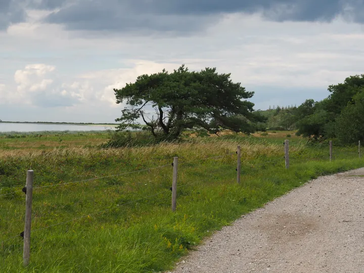 Halshuisene + Enebaerodde Beach (Denemarken)